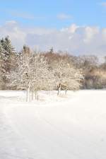 Apfelbäume im Winterkleid, sie stehen am Feldrand bei Reichenbuch im schönen Odenwald. 17.1.2016