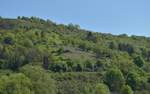 Blick auf die ehemaligen Weinberge zwischen Binau, Schreckhof und Diedesheim am Neckar von der Obrigheimer Neckarau.