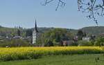 Blick über die Neckarau mit Obrigheim im Hintergrund.