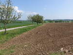 Felder bei Breitenbronn im Neckar-Odenwald Kreis (01.05.2019)