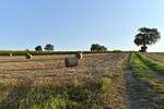 Strohrollen liegen auf dem Feld, Stoppeln ragen noch wenige Zentimeter über den Boden.
Langsam kann man den Herbst kommen spüren, wenn kühler Abendwind über die Felder streicht.
Samstag den 14.8.2021