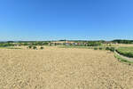 Im August sind mittelerweile die Getreidefelder abgeerntet, so auch am Hungerberg in Reichenbuch im Odenwald.