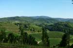 Weinberge bei Durbach/Ortenau, Sept.2012