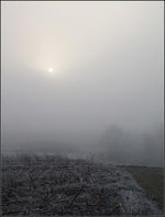 . Sonne, noch im Nebel -

Remstal bei Weinstadt-Endersbach.

06.12.2016 (M)