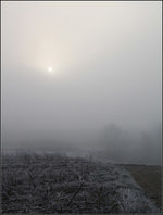 . Sonne, noch im Nebel -

Remstal bei Weinstadt-Endersbach.

06.12.2016 (M)