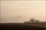 Im Hintergrund nur zarte Konturen -

Nebliger Morgen im Remstal bei Kernen-Rommelshausen.

15.12.2016 (M)