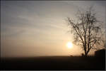 . Nebel, Sonne und Baum -

Am Ortsrand von Kernen-Rommelshausen.

15.12.2016 (M)