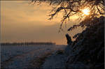 Wintermorgen -    Bei Kernen-Rommelshausen im Remstal.