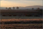 Ein kalter Novembermorgen -

Die Senke des Beibachtales und die Höhen des Schurwaldes im Licht der kurz vorher über die Berge hochgekommen Sonne.
Bei Endersbach.

21.11.2020