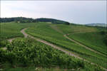 Über dem Remstal -    Blick auf die Weinberg beim Landgut Burg oberhalb von Weinstadt-Strümpfelbach.