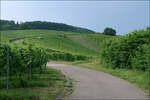 Über dem Remstal -    Im Weinberg oberhalb von Weinstadt-Strümpfelbach.