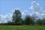 Bäume vor Wolken -     Landschaft zwischen Waiblingen Korber Höhe und Waiblingen Beinstein.