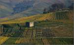 Von Weinbergen umgeben - 

...die Ruine der Yburg oberhalb von Stetten im Remstal. 

25.10.2008 (M)