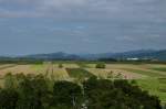 Heitersheim, Blick vom Aussichtsturm in die Rheinebene und zu den Schwarzwaldbergen, Sept.2011