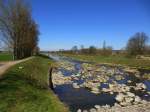 Blick vom Kollmansreuter Wehr an der Elz fluabwrts Richtung Emmendingen, Mrz 2014