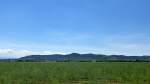 Blick aus der Rheinebene auf den nrdlichen Kaiserstuhl, Juli 2014