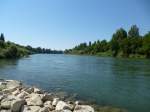 Blick fluaufwrts von der Brcke ber den Altrhein bei Hartheim, Juli 2015 