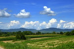 Blick vom Marchhgel in der Rheinebene zum stlichen Kaiserstuhl, Juli 2016