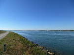 Blick ber den Rhein zum Plobsheimer Becken im Elsa, sdlich von Straburg, Sept.2016