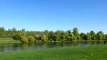 Landschaft am Altrhein, sdlich von Breisach, April 2017