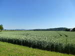 Blick vom Ort Hausen an der Mhlin ber die Rheinebene Richtung Norden, rechts die Sdspitze des Tuniberges, weiter links am Horizont der Kaiserstuhl, Mai 2017