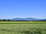 Blick von Hausen an der Mhlin ber die Rheinebene zum sdlichen Kaiserstuhl, Mai 2017