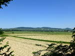 Blick vom westlichen Tuniberg bei Merdingen zum Kaiserstuhl, Mai 2017