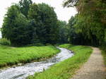 Flchen Neumagen vom Schwarzwald kommend, hier hinter Bad Krozingen, Aug.2017