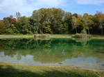 kleiner Waldsee in den Auenwldern bei Sasbach am Kaiserstuhl, Okt.2008