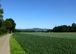 Blick aus der Rheinebene bei Umkirch zum Kaiserstuhl, Mai 2018