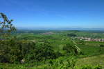 Kaiserstuhl, Blick von der Mondhalde am westlichen Rand des Kaiserstuhles in die Rheinebene, rechts ist Bischoffingen, in der Mitte Burkheim, am Horizont die Vogesen, Juni 2011 