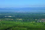 Kaiserstuhl, Teleblick von der Mondhalde in die Rheinebene, am Horizont die Vogesen, davor liegt Colmar, Juni 2011