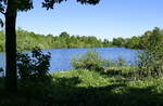 der Waldsee an der Dundenheimer Mühle in der Ortenau, April 2020