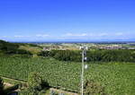 Blick von der Aussichtsplattform auf dem 282m hohen Heuberg bei Ettenheim Richtung Süd-West in die Rheinebene, am Horizont die Vogesen, Aug.2022