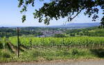 Blick über die Weinberge auf den Ort Malterdingen in die Rheinebene, rechts am Horizont der Kaiserstuhl, Juni 2023