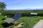 Gottenheim, Blick vom Aussichtspunkt am Tuniberg nach Osten, in die Rheinebene und zum Schwarzwald, Sept.2023 