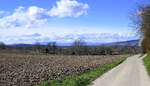 Blick vom Marchhügel in der Rheinebene Richtung Westen, rechts die Ausläufer des Kaiserstuhls, am Horizont die schneebedeckten Vogesen, Feb.2024