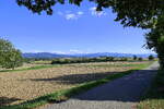 Blick vom Marchh�gel im Breisgau zum S�dschwarzwald, Sept.2026