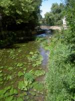 Fluss Brenz im gleichnamigen Ort im Landkreis Heidenheim (28.06.2011)