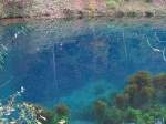 Blautopf in Blaubeuren