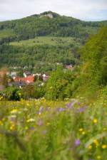 Und noch ein Blick ber Albstadt-Laufen zur Schalksburg.