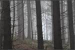 Nebel im Wald -     Auf der Schwäbischen Alb bei Meßstetten-Tieringen,     06.04.2012 (J)