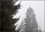 Nebel auf der Schwäbischen Alb -     bei Meßstetten-Tieringen,     06.04.2012 (J)