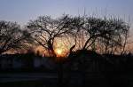 Sonnenuntergang in Oberboihingen am Abend des 18.02.07.