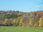 Herbst in Donaueschingen. 24/10/08.