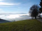 Schwarzwald bei St.Peter,
typische Sptherbstwitterung,
unten tagelang Nebel,oben strahlender Sonnenschein,
2006