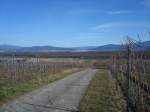 Blick vom Tuniberg auf Freiburg und den Schwarzwald,  Mrz 2010