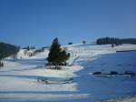 Winter im Hochschwarzwald, Skihang an der Stollenbacher Htte, Jan.2011