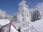 Winter 2006 im Schwarzwald bei St.Georgen