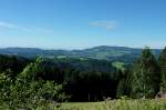 Blick zum 1241m hohen Kandel im mittleren Schwarzwald, Aug.2012
